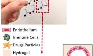 海归科研团队齐聚南科大，为世界阻击新冠病毒贡献‘深圳智慧’